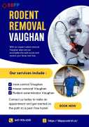 B.B.P.P. Pest control solutions for rodent control, Vaughan