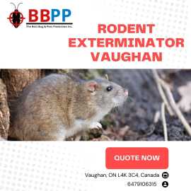 Reliable Rodent and Rat Exterminator in Vaughan - , Vaughan