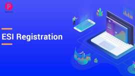 ESIC Employee Registration Online in Indore, Indore