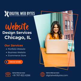 Website Design Services in Chicago, IL, Chicago