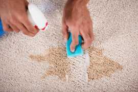 Professional Carpet Spot Dyeing Services , Caboolture