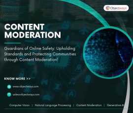 Content Moderation Services | Human Moderation , Scottsdale