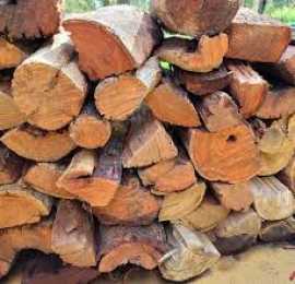 Choose the Right Firewood with the Right Guidance , Narellan