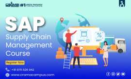 SAP Supply Chain Management, Noida