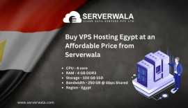 Buy VPS Hosting Egypt at an Affordable Price from , Suez