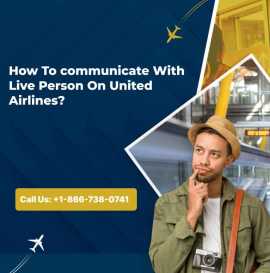 How To Communicate With Live Person On United Airl, Worcester