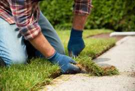  Choose the Right Turf for Your Lawn, Hove