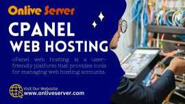 Essential Guide to cPanel Web Hosting for Beginne, Ghaziabad
