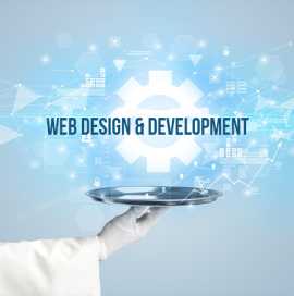 Expert Website Development Agency for Your Busines, Delhi