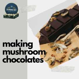Indulge in Delicious Delights: Making Shroom Choco, $ 0