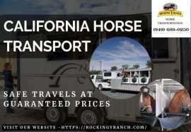 California Animal Transportation: Safe Journeys fo, Cypress