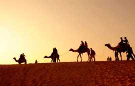 Affordable Tour Packages Jaisalmer, Jaisalmer