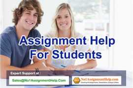 Get Assignment Help For Students By Professionals, Port Louis