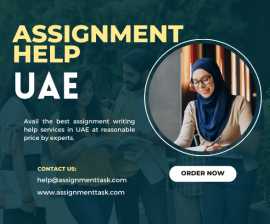 Do You Need Assignment Help UAE at the Best Price, Dubai