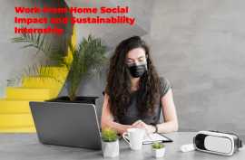 Work-from-Home Social Impact and Sustainability Internship