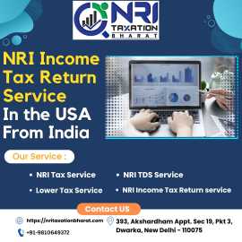 NRI Income Tax Returns from India in the USA, Delhi