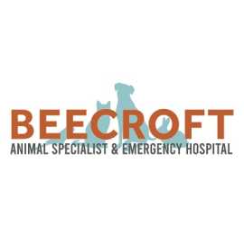 24 Hours Pet, Vet & Animal Emergency Hospital , Bukit Timah
