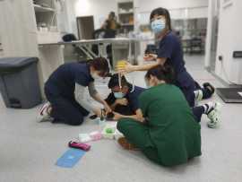 Veterinary, Animal emergency and critical care, Bukit Timah