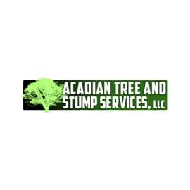 Bay St. Louis Tree Removal | Acadian Tree and Stum, Slidell