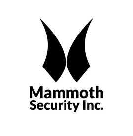 Mammoth Security Inc. New Haven, New Haven