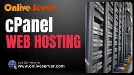 Discover the Advantages of cPanel Web Hosting , Ghaziabad