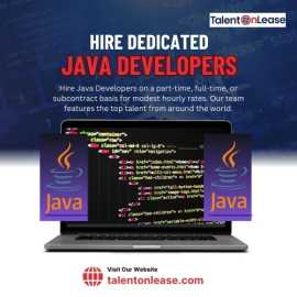 Hire Dedicated Java Developer, Noida