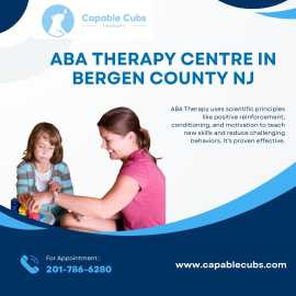 ABA Clinics Bergen County NJ | Capable Cubs, Ramsey