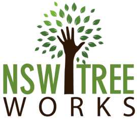 Explore Advance Tree Lopper Services in Turramurra, Turramurra