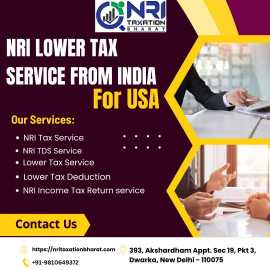 Pro NRI Lower Tax Services for US from India, New Delhi