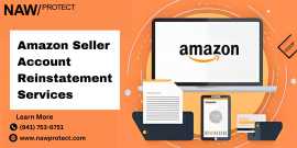 Regain Control: Amazon Seller Account Reinstatemen, Bradenton