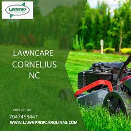 Lawn Care Cornelius NC | Lawn Care, Cornelius
