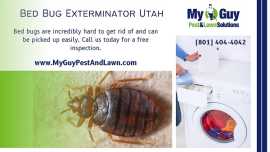 Bed Bugs Fast! Expert Exterminator Services, Orem