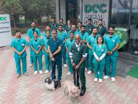 DCC Animal Hospital - Best Pet Clinic in Delhi NCR, Delhi
