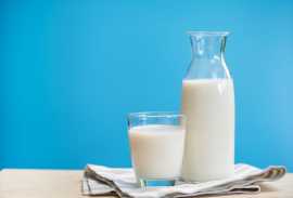 Get Pure Gir A2 Milk Delivered in Morbi , Morvi