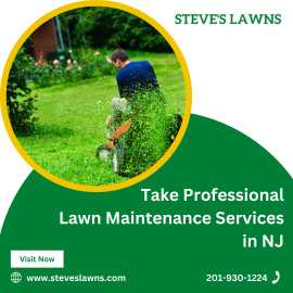 Take Professional Lawn Maintenance Services in NJ, Montvale
