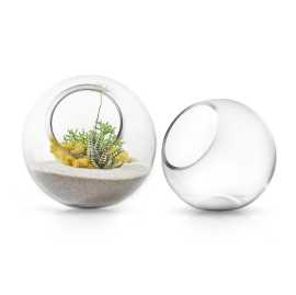 Shop For Glass Terrariums Online | Galore Home, $ 20