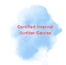 Get Training For Internal Audit Certifications, Faridabad