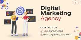 Elevate Your Business with Expert Digital Marketin, Noida