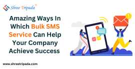 Best Bulk SMS service in Ahmedabad | Shree Tripada, Ahmedabad