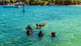 Safety First: Advanced Rescue Diver Course , Bondi