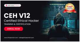 Certified Ethical Hacker (CEH v12) Online Training, Bukit Timah