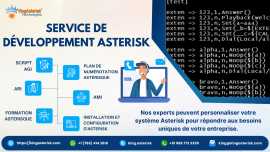 Discover Asterisk Development Excellence with King, Damparis