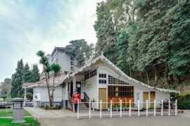 Discover the best hotels and resorts in Darjeeling, Darjeeling