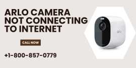 Arlo Camera Not Connecting to Internet, Los Angeles