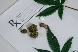 Stay Legal: Renew Your Medical Marijuana Card PA, Pittsburgh
