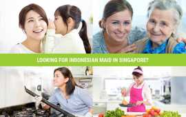 Best Indonesian Maid in Singapore, Bukit Timah