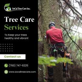 Expert Tree Care Services, Escondido