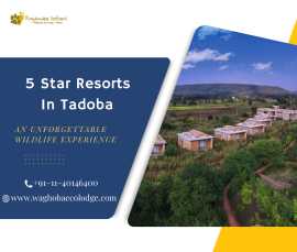 5 Star Resorts In Tadoba, Chandrapur