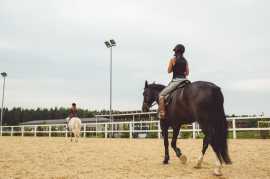 Rider Equestrian - Equitopia Center, Thornton