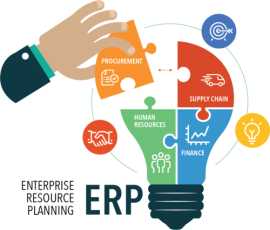  Elevate Your Business with Custom ERP Software De, Delhi